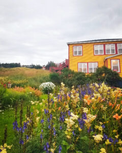 Java Jack's Restaurant & Gallery, Rocky Harbour, NL