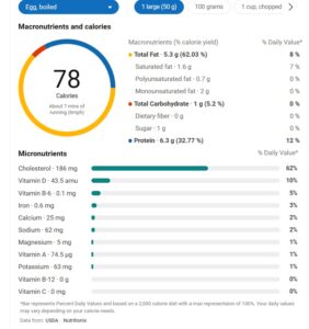 egg nutrition and composition